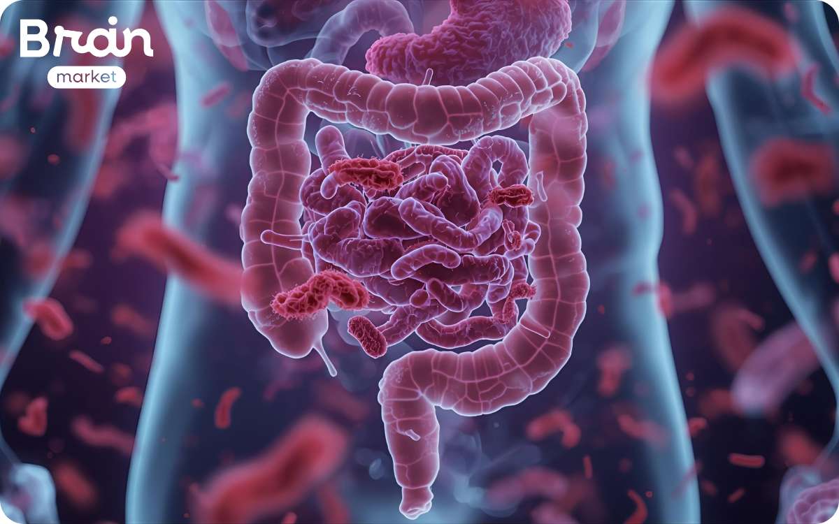 strevni mikrobiom probio